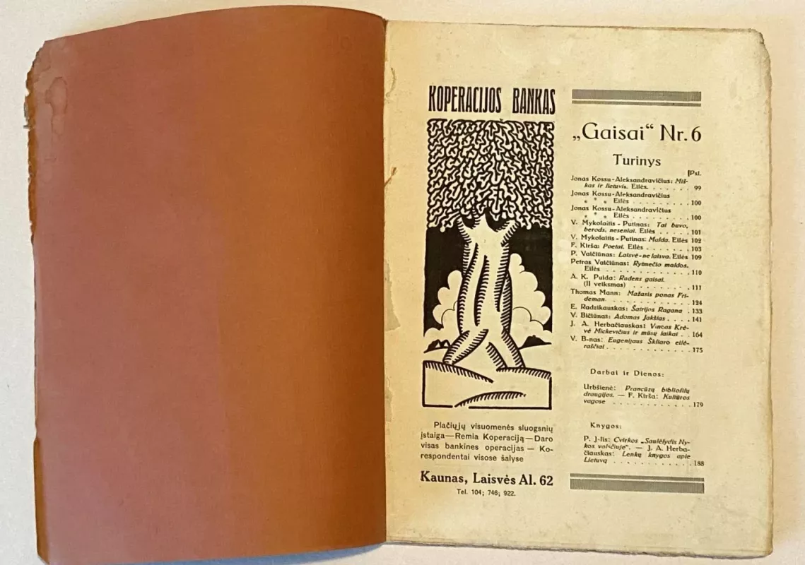 Gaisai žurnalas 1930m. Nr.6 - Autorių Kolektyvas, knyga 3