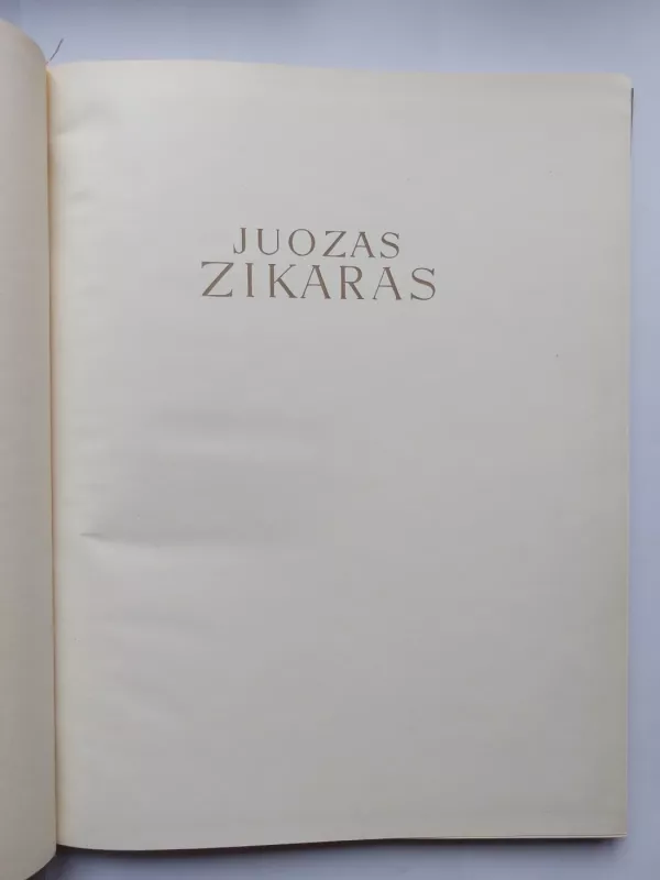 Juozas Zikaras - Stasys Budrys, knyga 3