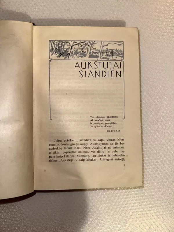 Aukštųjų Šimonių likimas - Ieva Simonaitytė, knyga 4