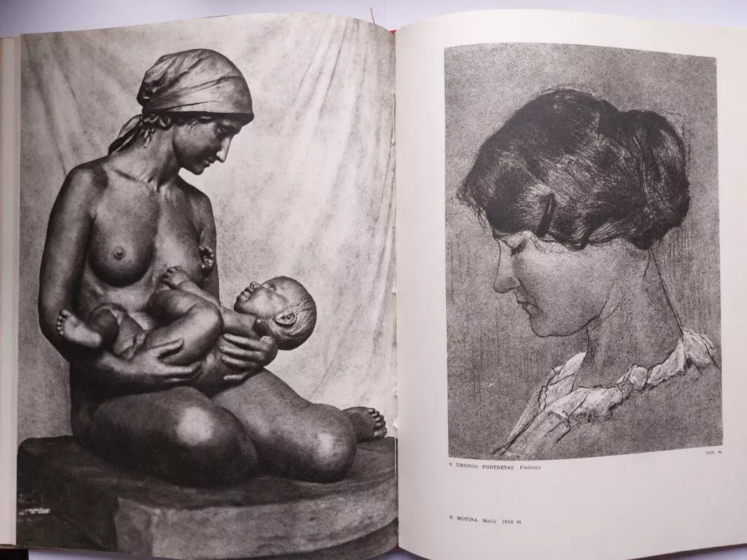 Juozas Zikaras - Stasys Budrys, knyga 5