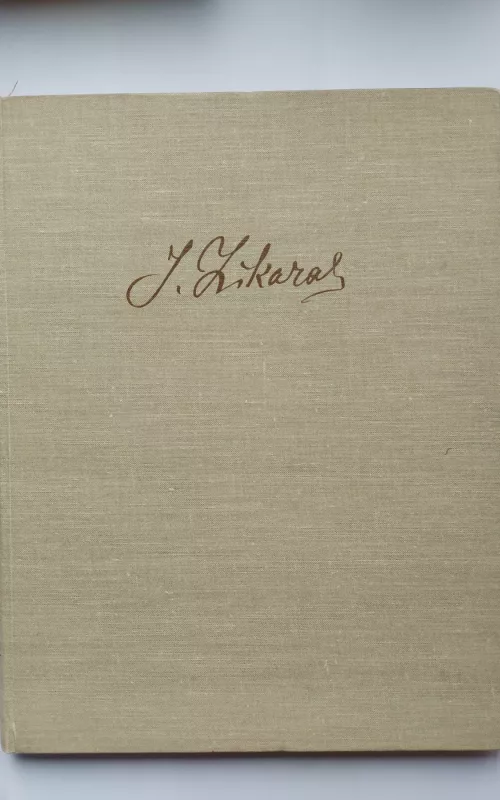 Juozas Zikaras - Stasys Budrys, knyga 2