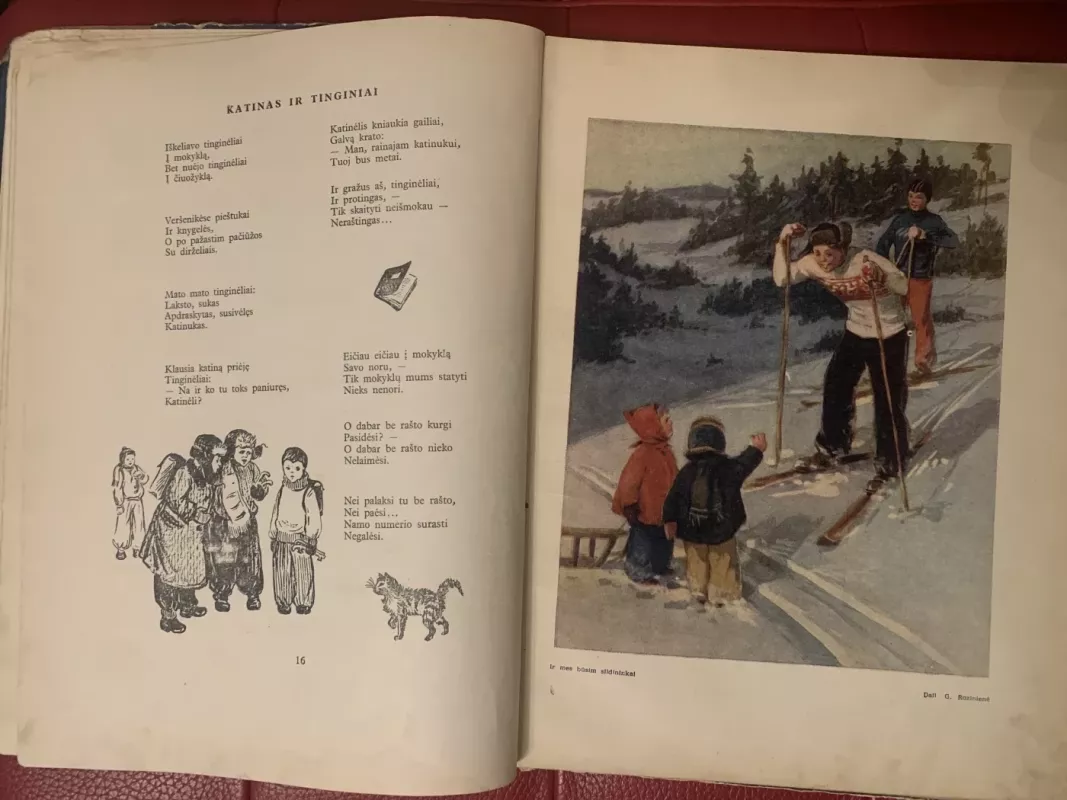 Mūsų metai 1955 - Autorių Kolektyvas, knyga 4