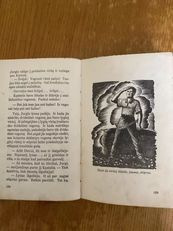 Juodojo milžino žmonės - Kazys Janonis, knyga 6