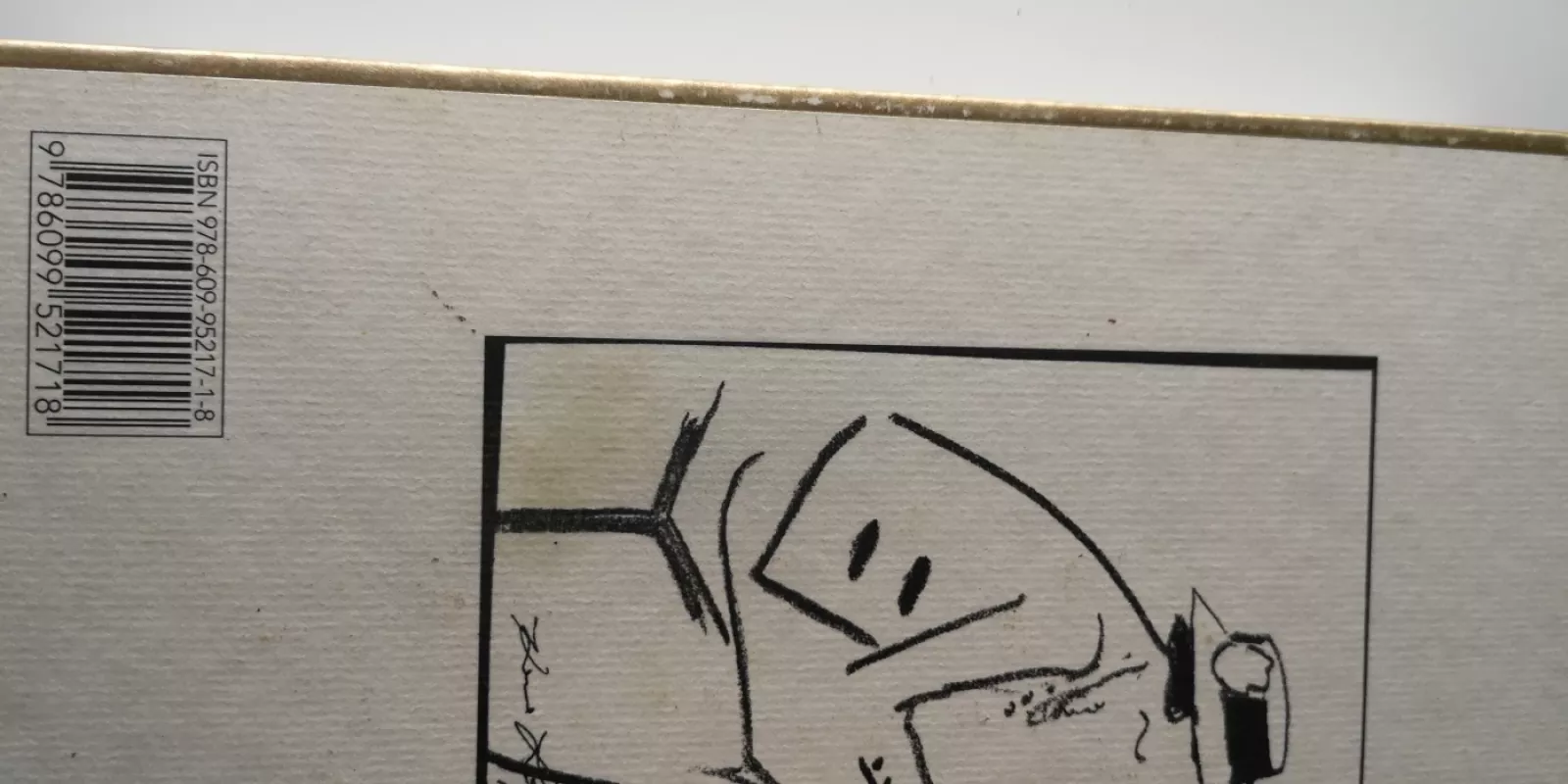 Coco Chanel legenda ir gyvenimas - Justine Picardie, knyga 4