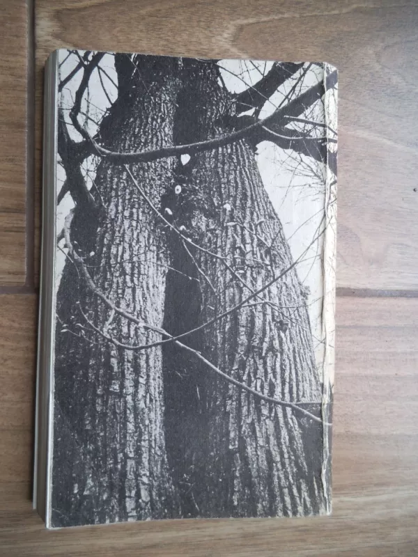 Šitą paimkite gyvą - Povilas Pečiulaitis, knyga 4