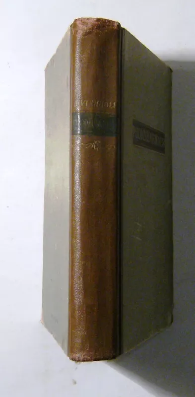 Puodžiūnkiemis - Antanas Vienuolis, knyga 5