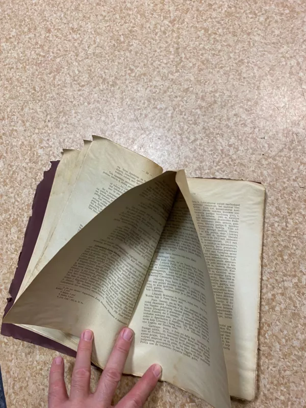 MAŽOSIOS LIETUVOS POLITIKOS VEIDRODIS - A.B. Klaipėdiškis, knyga 3