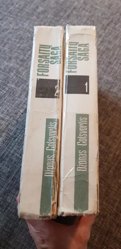 Forsaitų saga (2 tomai) - Džonas Golsvortis, knyga 6