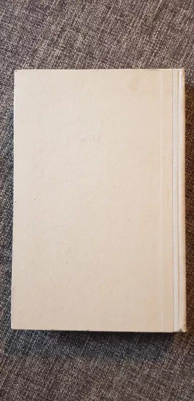 Savanorių žygiai (I knyga) - Petras Ruseckas, knyga 3