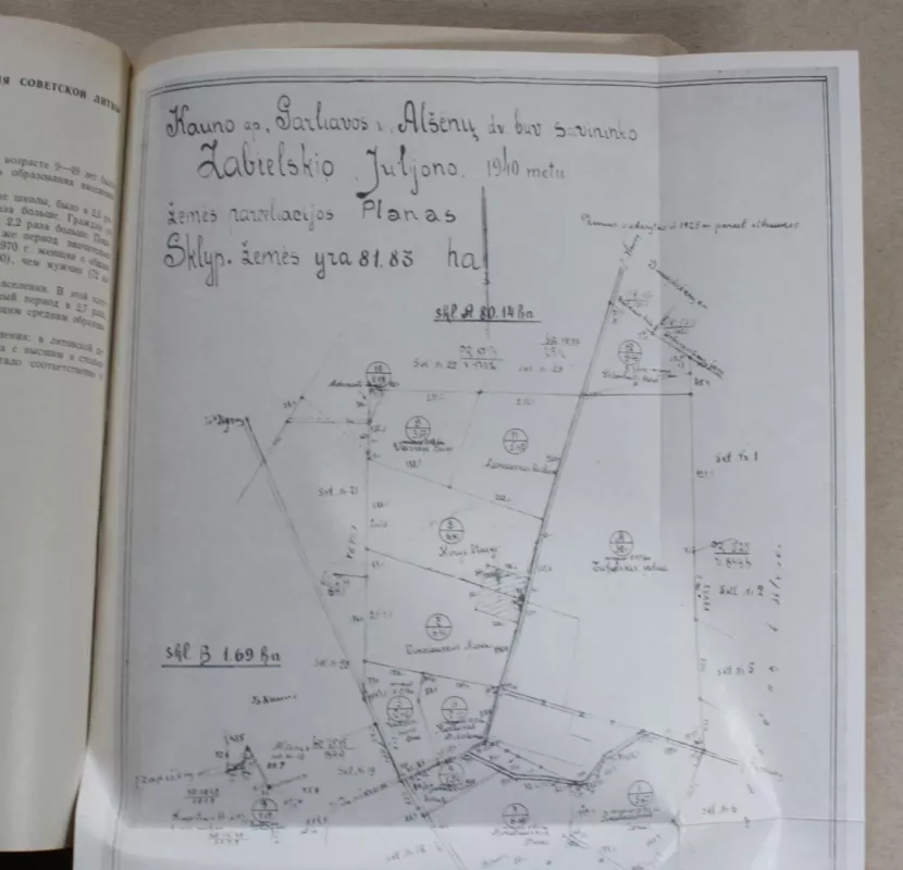 Lietuvos istorijos metraštis  1972 - Juozas Aputis, knyga 4