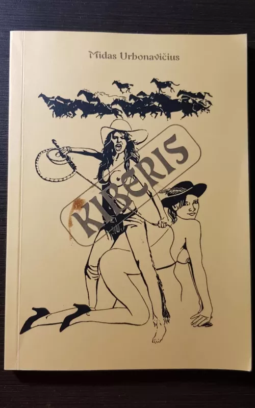 Kiberis - Midas Urbonavičius, knyga 2