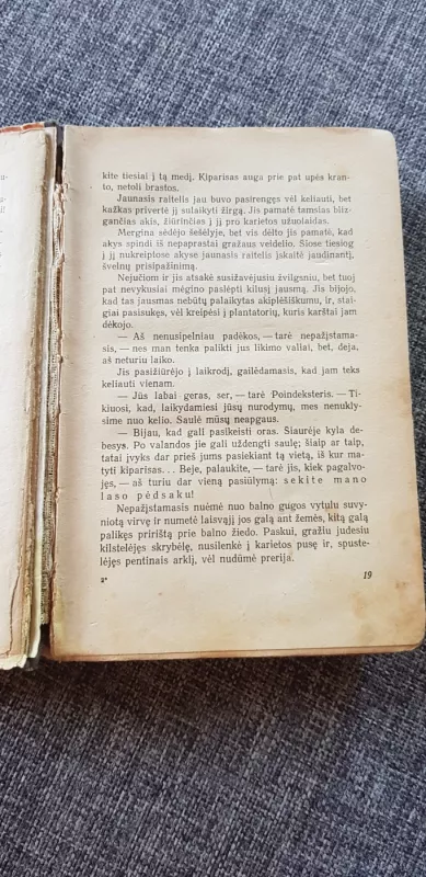 Raitelis be galvos - T. Main Ridas, knyga 4