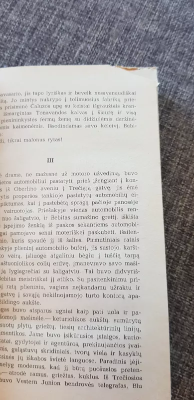 Bebitas - Sinkleris Luisas, knyga 3