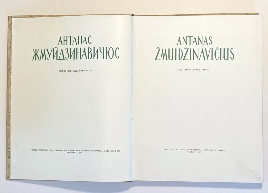Antanas Žmuidzinavičius - Antanas Žmuidzinavičius, knyga 4