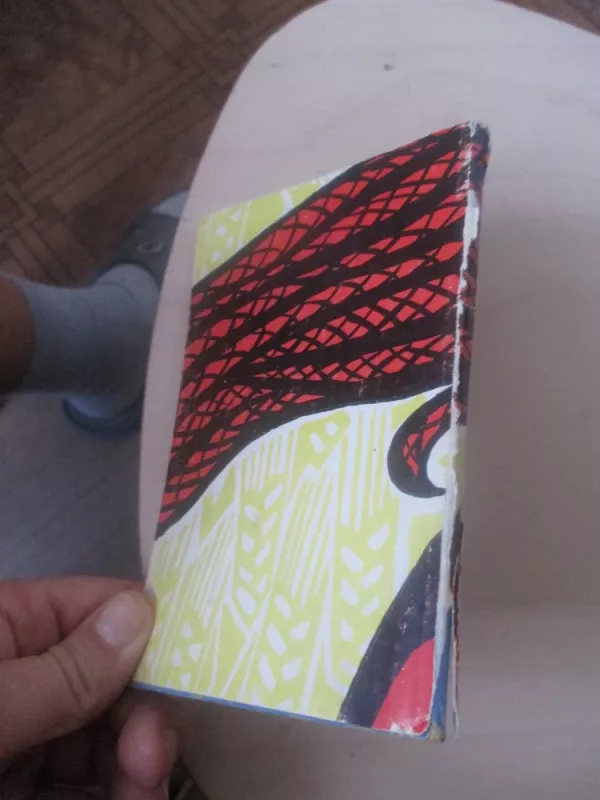 Džamilia - Čingizas Aitmatovas, knyga 6