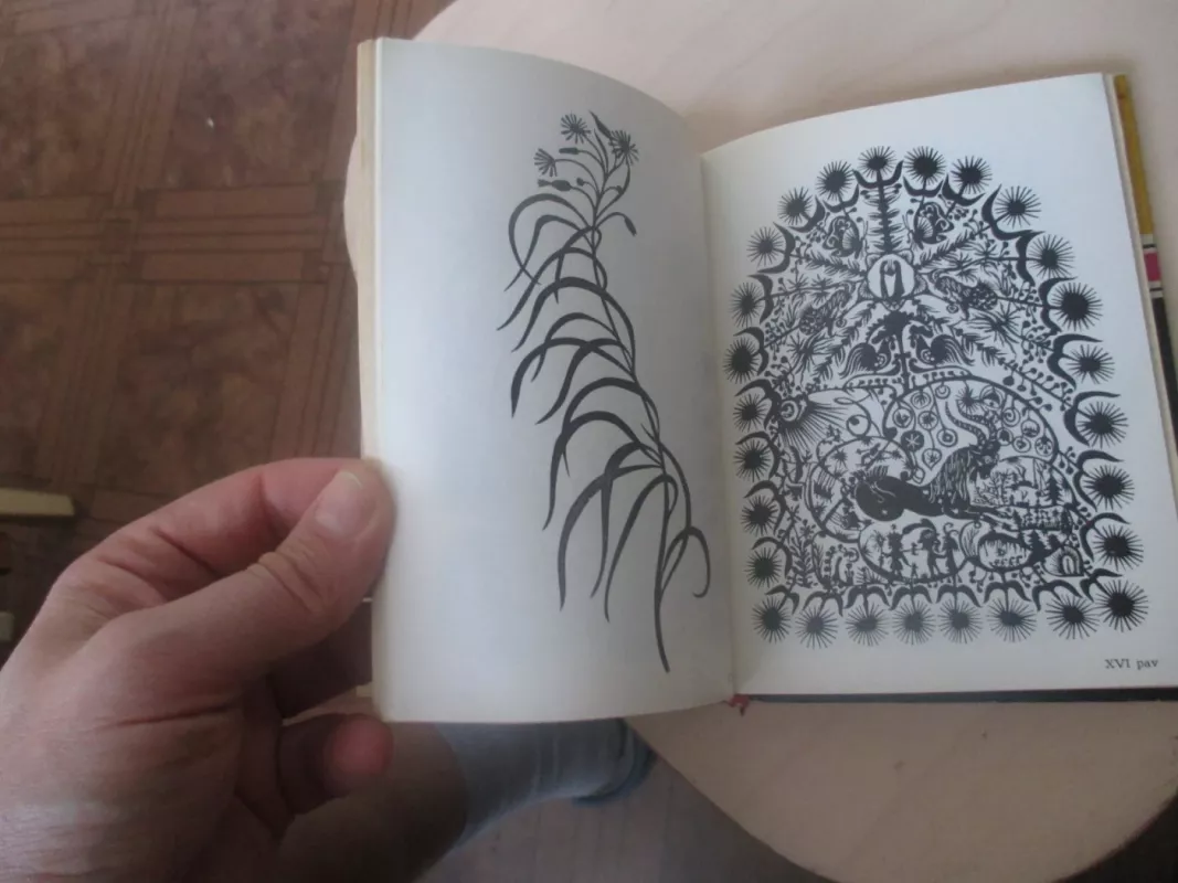 Karpiniai - Autorių Kolektyvas, knyga 6