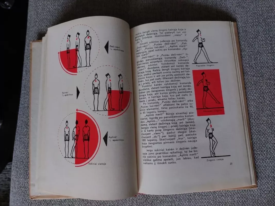 Vėliavą gerbk - V. Igoškinas, knyga 5