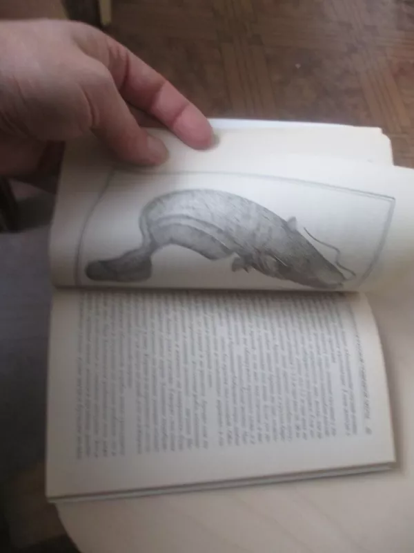 Особенности русской подводной охоты - В.С. Кириченко, knyga 6