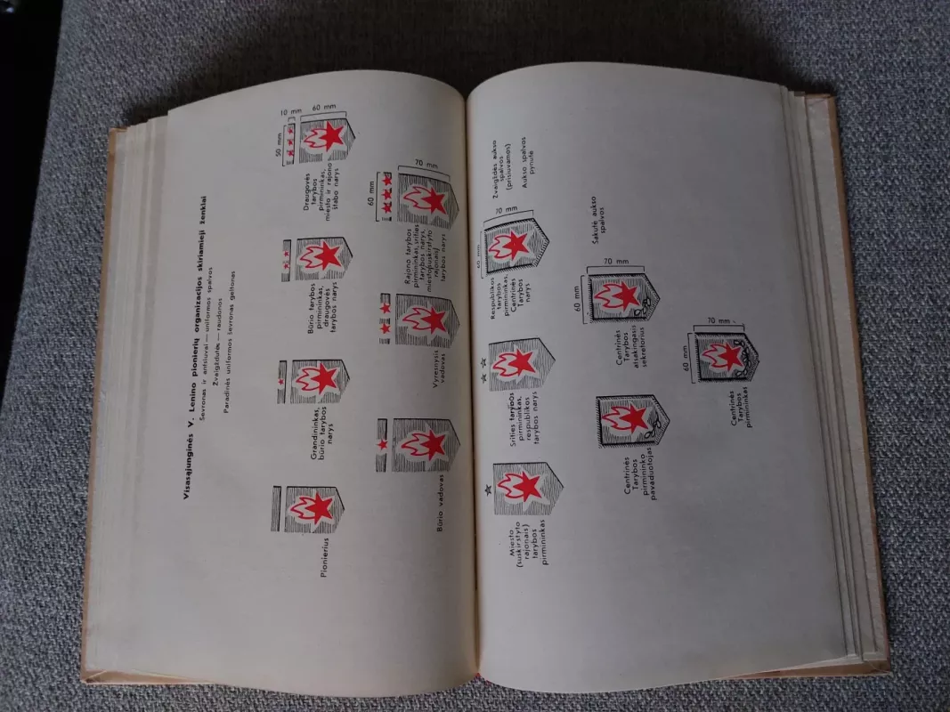 Vėliavą gerbk - V. Igoškinas, knyga 3