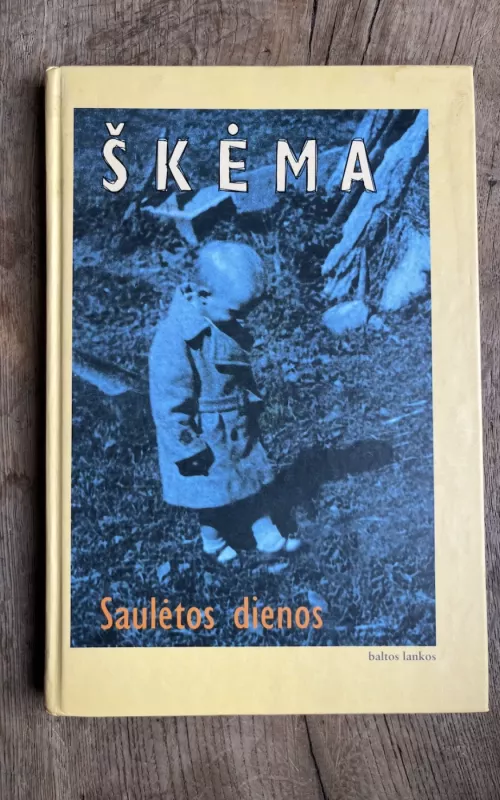 Saulėtos dienos - Antanas Škėma, knyga