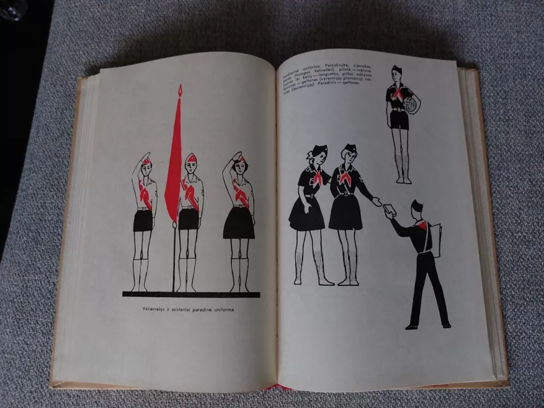 Vėliavą gerbk - V. Igoškinas, knyga 4