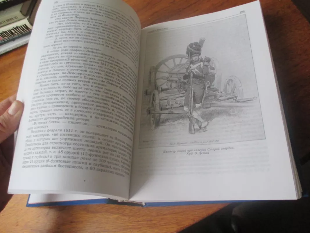 Гвардия Наполеона - Анри Лашук, knyga 4