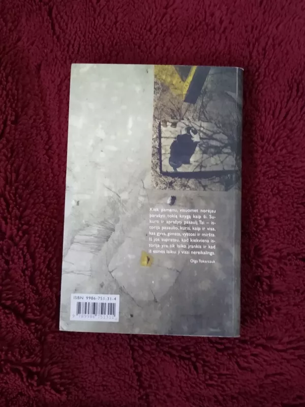 Praamžiai ir kiti laikai - Olga Tokarczuk, knyga 4