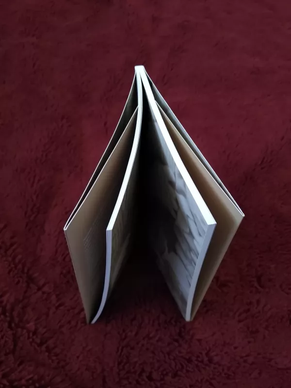 Virtuvėlė pilna Ukmergės - Julius Keleras, knyga 3