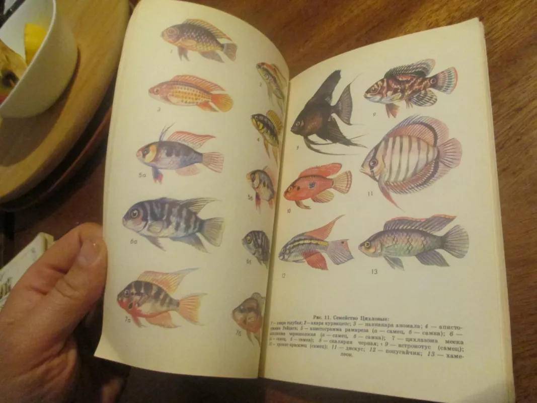 Аквариум - В. Т. Козер, knyga 5