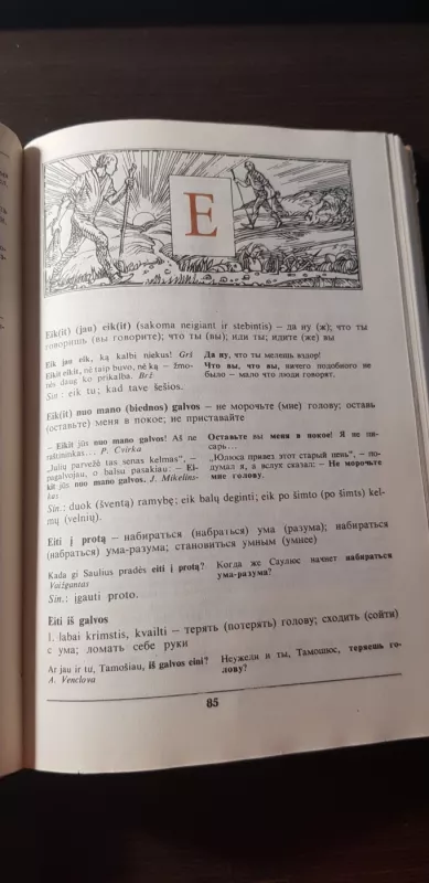 Mokyklinis lietuvių-rusų kalbų frazeologijos žodynas - Elzė Galnaitytė, knyga 4