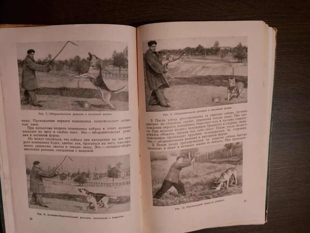 Выращивание и дрессировка собак - Ковриженко И.Н., Козлов Н.И., knyga 5