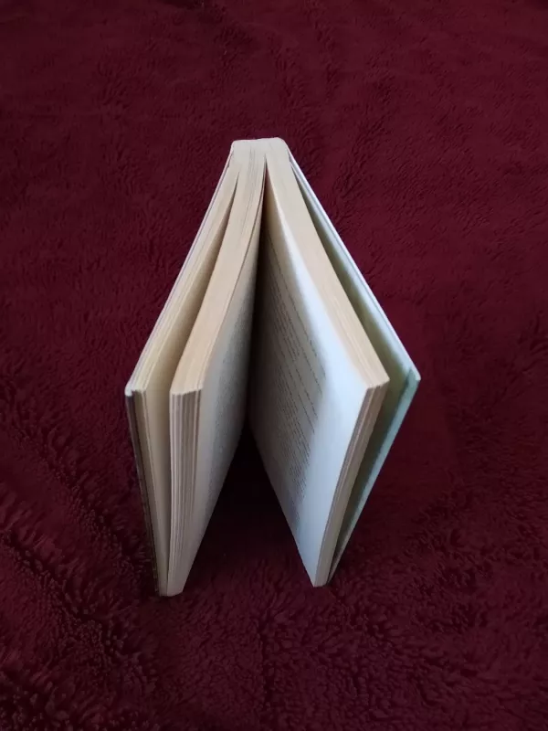 Praamžiai ir kiti laikai - Olga Tokarczuk, knyga 3