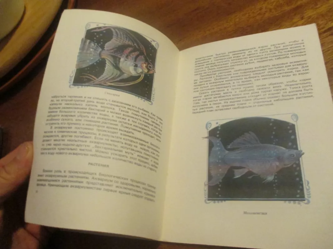 Твой аквариум - Autorių Kolektyvas, knyga 4