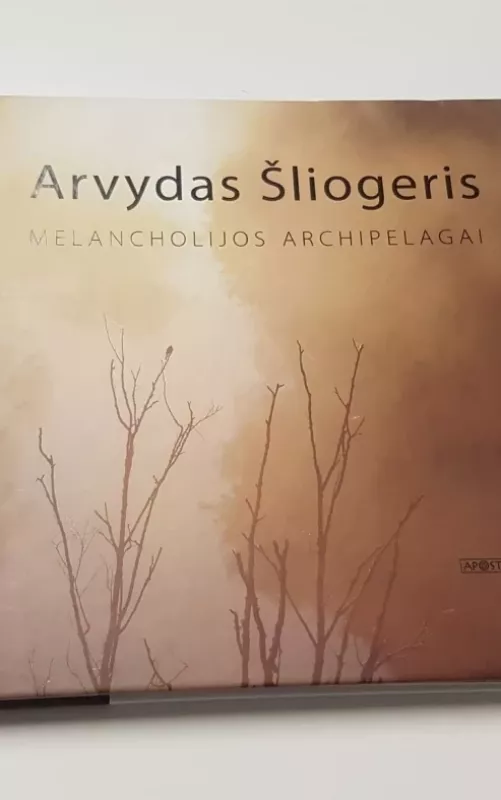 Melancholijos archipelagai. Žodžiai ir vaizdai - Arvydas Šliogeris, knyga