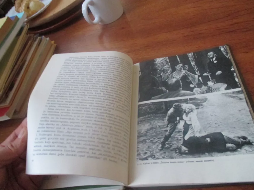 Lietuvių kino menas šiandien - Bonifacas Gintalas, knyga 4