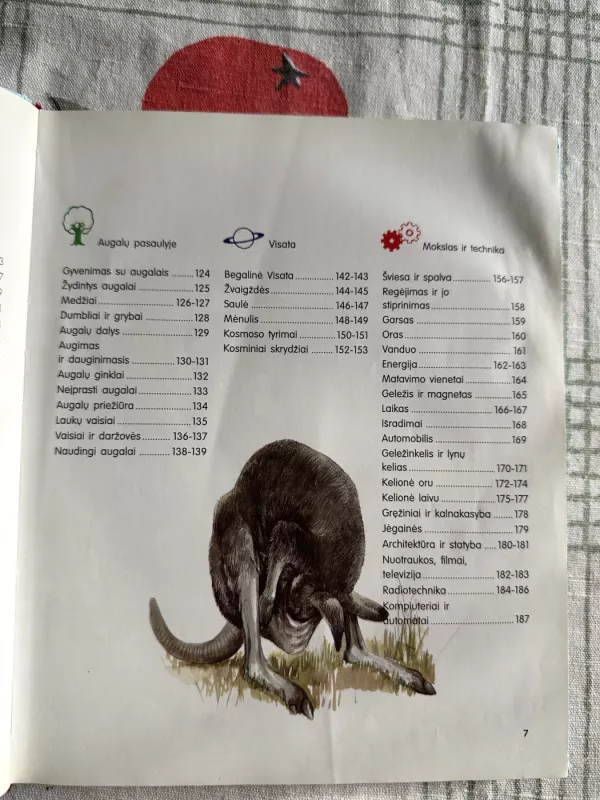 Didžioji atsakymų į vaikų klausimus knyga - Helga Hofmann, knyga 4