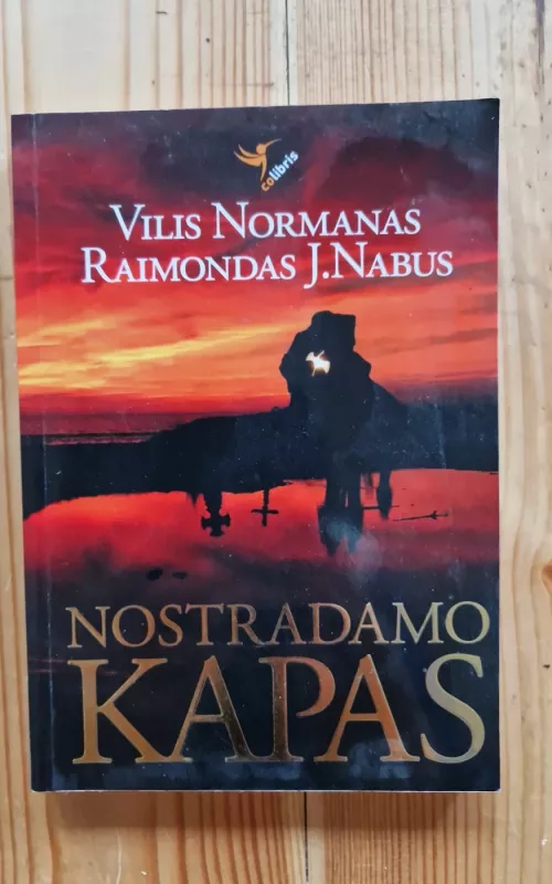 Nostradamo kapas - Vilis Normanas, knyga