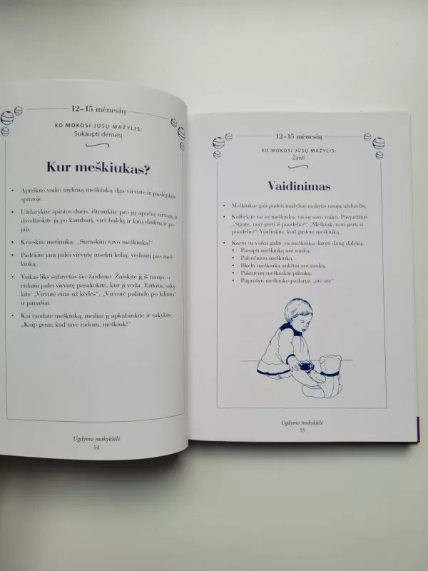 Mažylio lavinimas nuo metų iki dviejų - Silberg Jackie, knyga 5