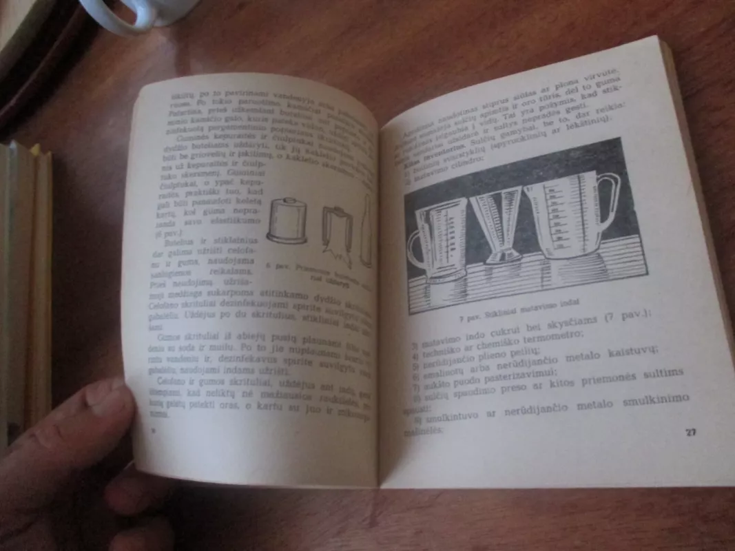 Sultys - J. Kontrimas, knyga 5