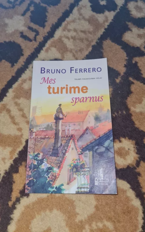 Mes turime sparnus: trumpi pasakojimai sielai - Bruno Ferrero, knyga