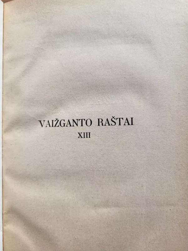 Vaižganto raštai XIII t. - Autorių Kolektyvas, knyga 4