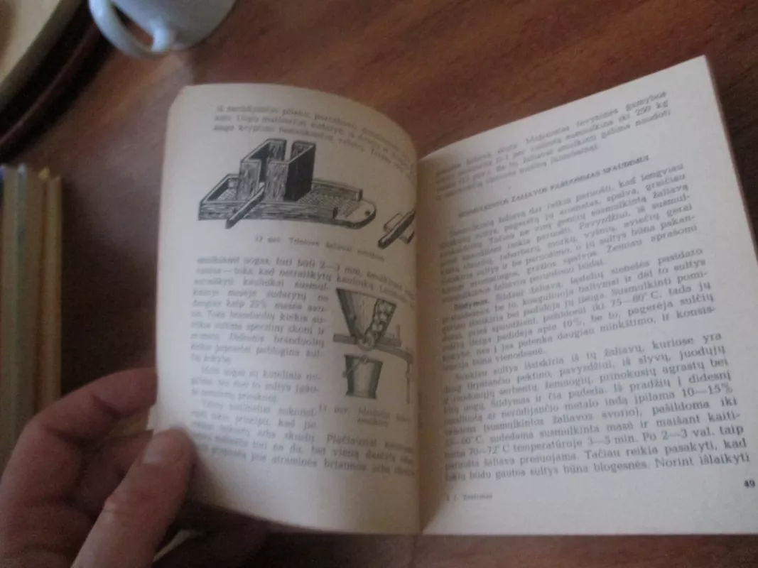 Sultys - J. Kontrimas, knyga 4