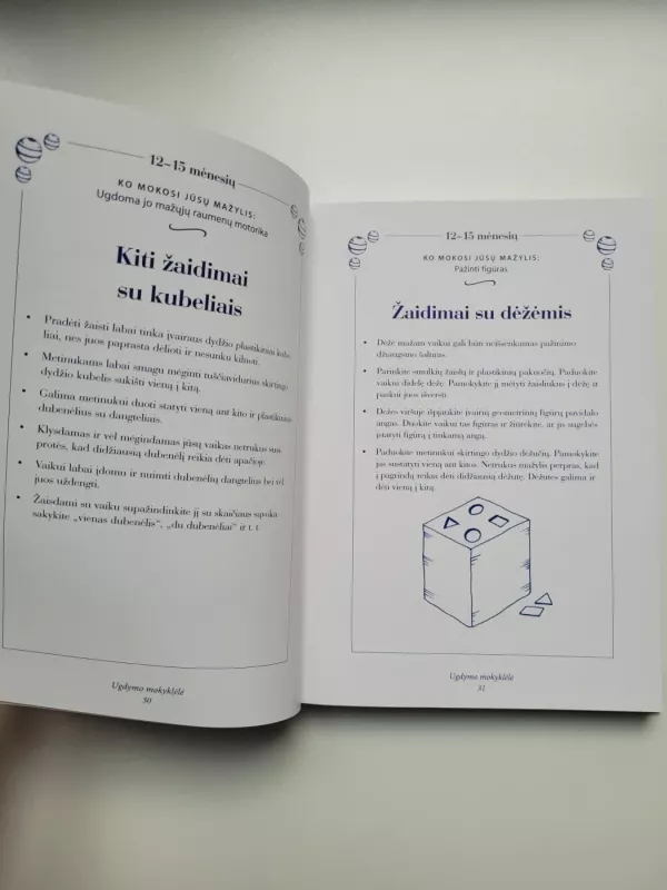 Mažylio lavinimas nuo metų iki dviejų - Silberg Jackie, knyga 4