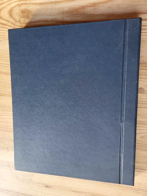 Vaižganto raštai XIII t. - Autorių Kolektyvas, knyga 3