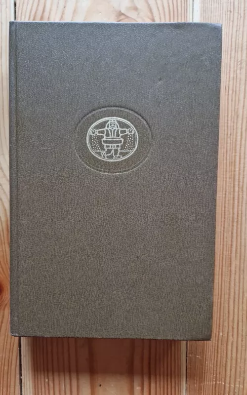 Antikiniai romanai ir pasakėčios - Autorių Kolektyvas, knyga 2