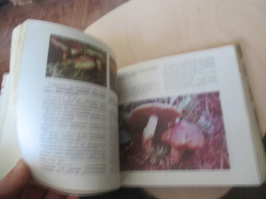 Макромицеты - Г. Сержанина, knyga 4