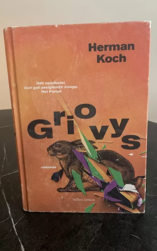 Griovys - Herman Koch, knyga