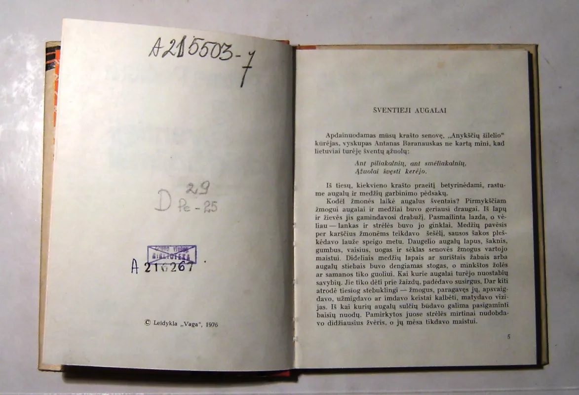 Šventieji klaidžiojimai - Petras Pečiūra, knyga 3