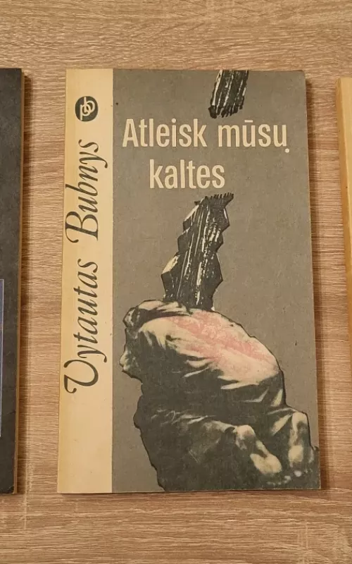 Atleisk mūsų kaltes - Vytautas Bubnys, knyga