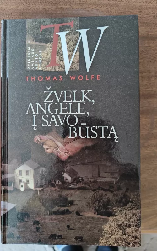 Žvelk, angele, į savo būstą - Thomas Wolf, knyga